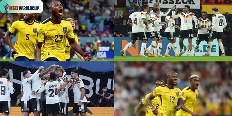 Ecuador vs Đức
