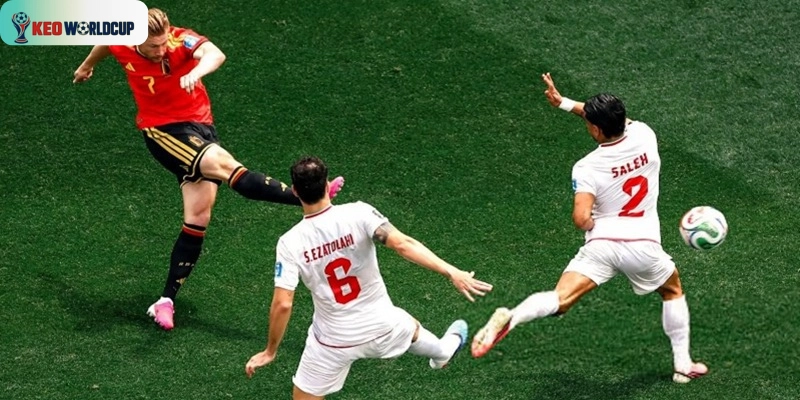 New Zealand vs Bỉ